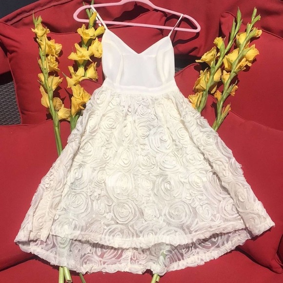 Miss Avenue Dresses & Skirts - Mini Dress Lace NWT Miss Avenue Size Small